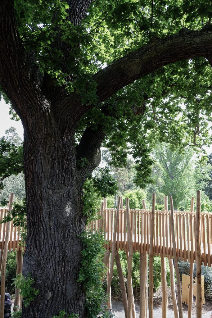 Treetop Walkway Kew Children's Garden