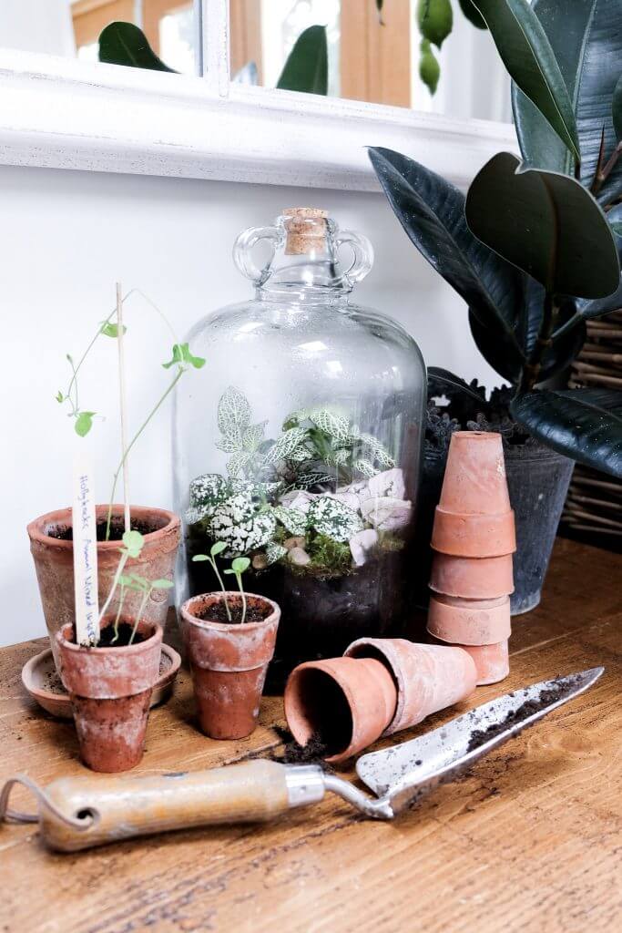 Terrarium with London Terrariums Science Mama