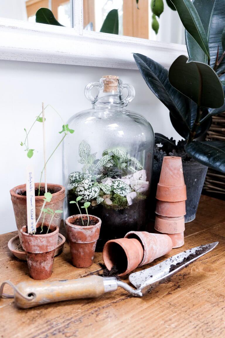 Terrarium with London Terrariums Science Mama