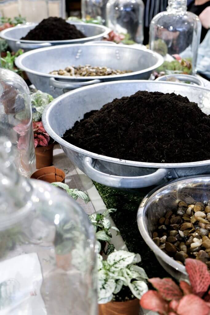 London Terrariums Workshop