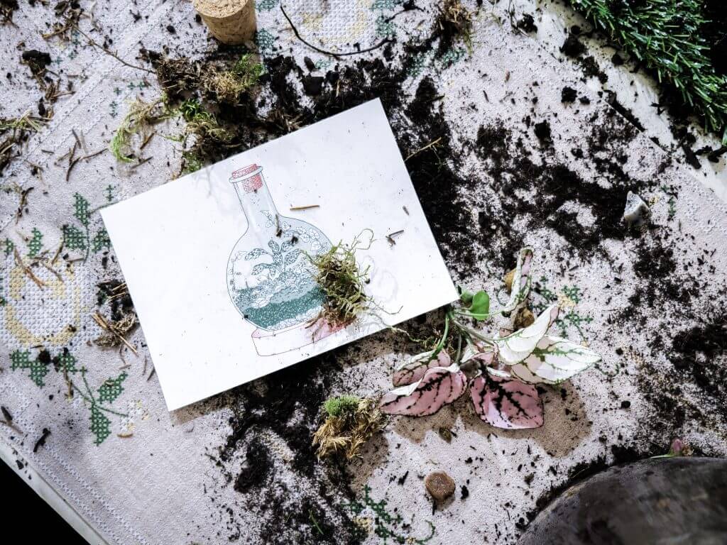 London Terrariums Branding Postcard