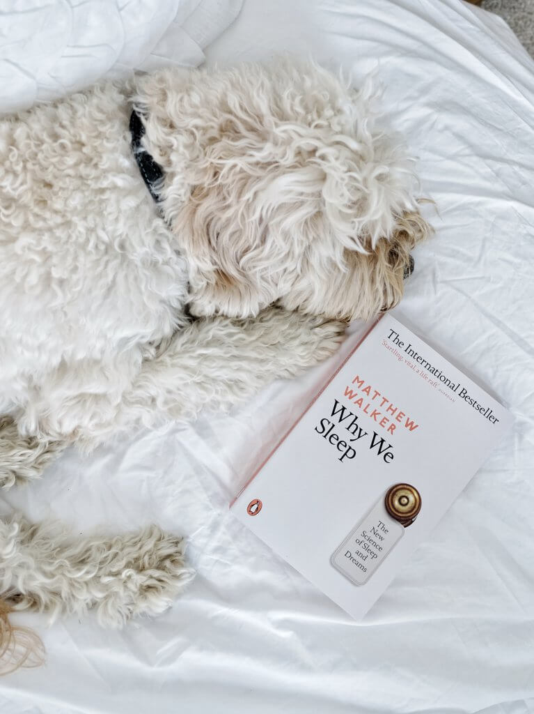 Dog sleeping with Why We Sleep Matthew Walker book