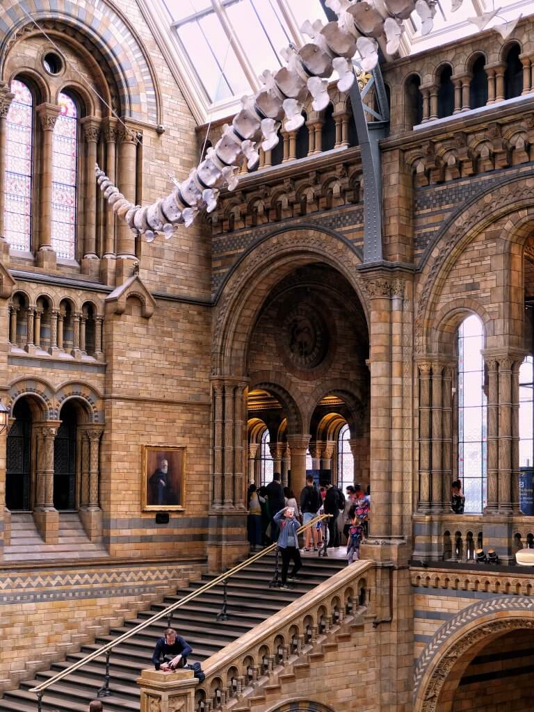 Natural-history-museum-hintze-hall