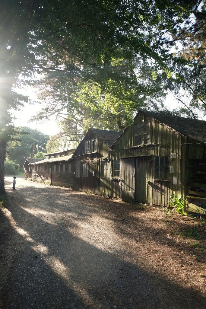 Spooky_creepy_barn_home_cottage_farm_iver